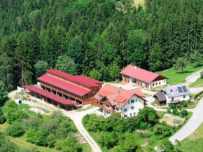 Ferienwohnungen Bauernhof Schilcher Sankt Andrä